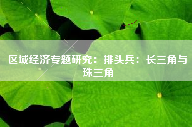区域经济专题研究：排头兵：长三角与珠三角