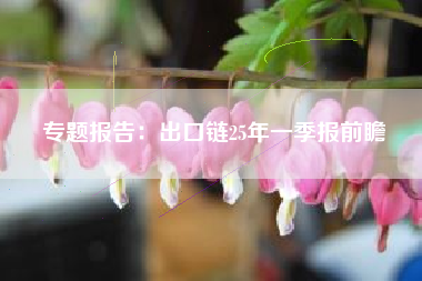 专题报告：出口链25年一季报前瞻