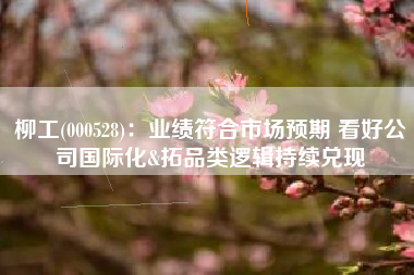 柳工(000528)：业绩符合市场预期 看好公司国际化&拓品类逻辑持续兑现