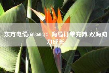 东方电缆(603606)：海缆订单充沛 双海助力成长