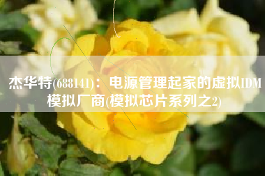 杰华特(688141)：电源管理起家的虚拟IDM模拟厂商(模拟芯片系列之2)