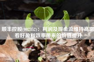 顺丰控股(002352)：利润及现金流维持高增 看好盈利效率带来的价值提升