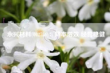 永兴材料(002756)：降本增效 经营稳健