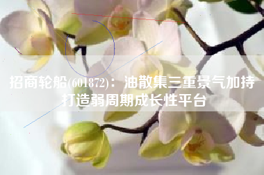 招商轮船(601872)：油散集三重景气加持 打造弱周期成长性平台