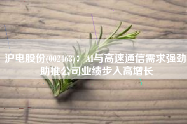 沪电股份(002463)：AI与高速通信需求强劲 助推公司业绩步入高增长