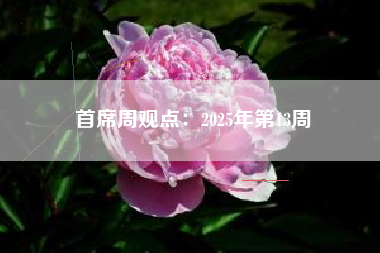 首席周观点：2025年第13周