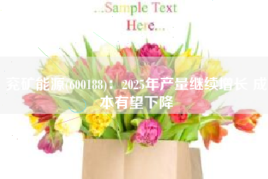兖矿能源(600188)：2025年产量继续增长 成本有望下降
