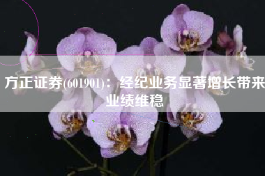 方正证券(601901)：经纪业务显著增长带来业绩维稳