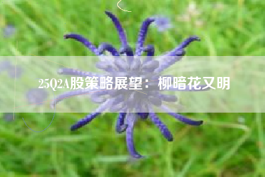 25Q2A股策略展望：柳暗花又明