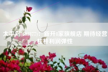 太平鸟(603877)：新开8家旗舰店 期待经营杠杆利润弹性