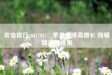 农业银行(601288)：单季业绩高增长 规模降速固成果