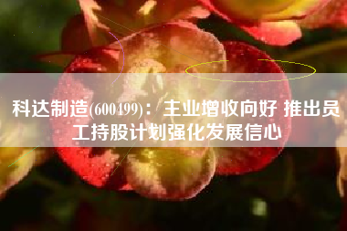 科达制造(600499)：主业增收向好 推出员工持股计划强化发展信心