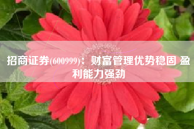 招商证券(600999)：财富管理优势稳固 盈利能力强劲