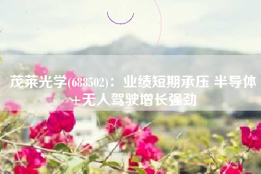 茂莱光学(688502)：业绩短期承压 半导体+无人驾驶增长强劲