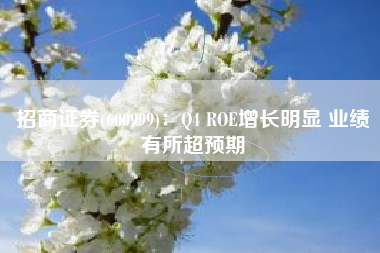 招商证券(600999)：Q4 ROE增长明显 业绩有所超预期