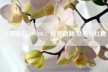 工商银行(601398)：经营稳健 息差分红稳定