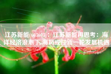 江苏新能(603693)：江苏新能再思考：海洋经济浪潮下 海风或迎新一轮发展机遇