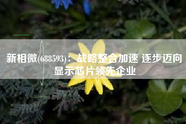 新相微(688593)：战略整合加速 逐步迈向显示芯片领先企业