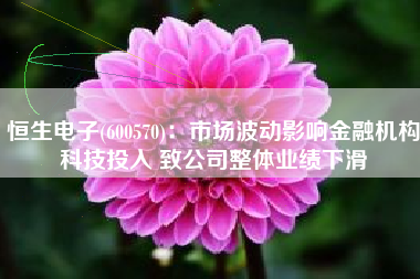 恒生电子(600570)：市场波动影响金融机构科技投入 致公司整体业绩下滑