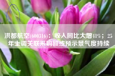 洪都航空(600316)：收入同比大增41%；25年上调关联采购额或预示景气度持续