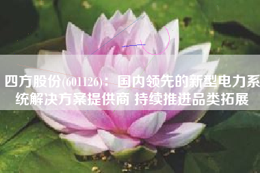 四方股份(601126)：国内领先的新型电力系统解决方案提供商 持续推进品类拓展