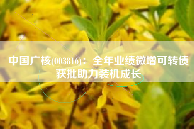 中国广核(003816)：全年业绩微增可转债获批助力装机成长