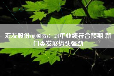 宏发股份(600885)：24年业绩符合预期 新门类发展势头强劲