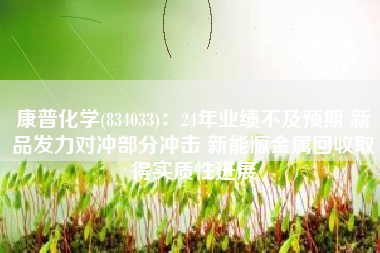 康普化学(834033)：24年业绩不及预期 新品发力对冲部分冲击 新能源金属回收取得实质性进展