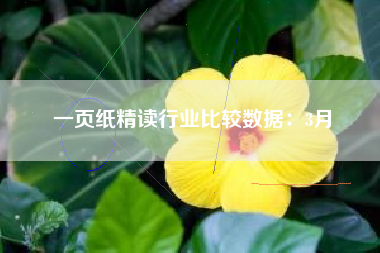 一页纸精读行业比较数据：3月