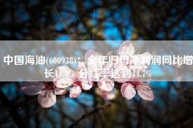 中国海油(600938)：全年归母净利润同比增长11.4% 分红率达到44.7%