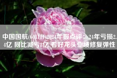 中国国航(601111)2024年报点评：24年亏损2.4亿 同比减亏8亿 看好龙头业绩修复弹性
