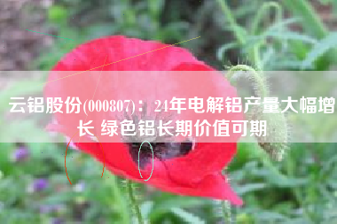 云铝股份(000807)：24年电解铝产量大幅增长 绿色铝长期价值可期