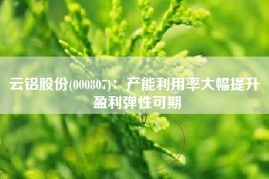 云铝股份(000807)：产能利用率大幅提升 盈利弹性可期