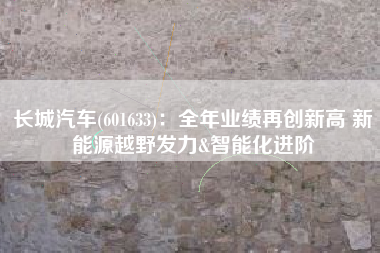 长城汽车(601633)：全年业绩再创新高 新能源越野发力&智能化进阶