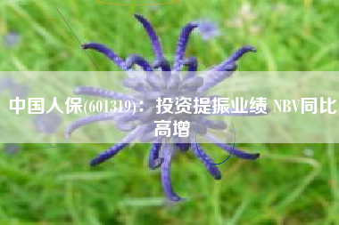 中国人保(601319)：投资提振业绩 NBV同比高增