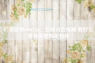 广发证券(000776)：业绩符合预期 看好公司业务差异化特色