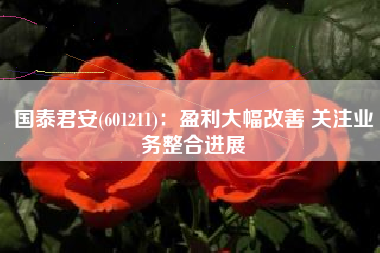 国泰君安(601211)：盈利大幅改善 关注业务整合进展