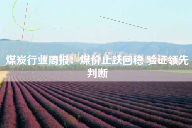 煤炭行业周报：煤价止跌回稳 验证领先判断