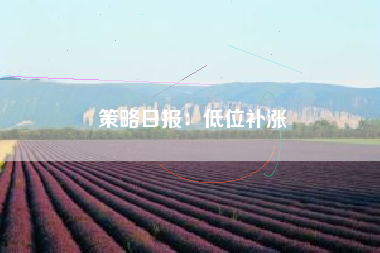 策略日报：低位补涨