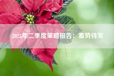 2025年二季度策略报告：蓄势待发