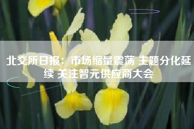 北交所日报：市场缩量震荡 主题分化延续 关注智元供应商大会