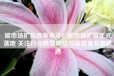碳市场扩容政策点评：碳市场扩容正式落地 关注行业转型风险与高质量发展机遇