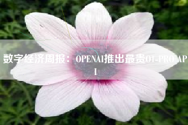 数字经济周报：OPENAI推出最贵O1-PRO API
