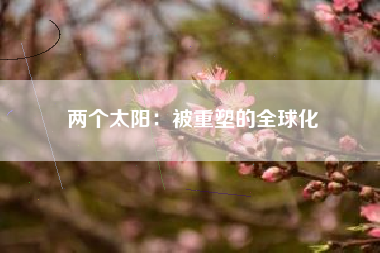 两个太阳：被重塑的全球化