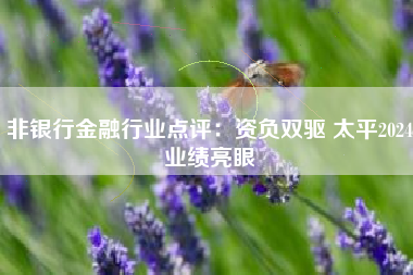 非银行金融行业点评：资负双驱 太平2024业绩亮眼