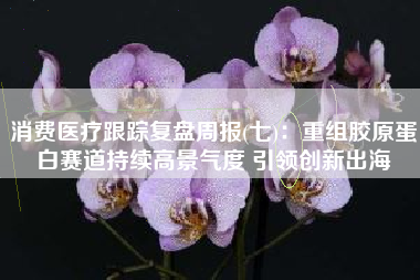 消费医疗跟踪复盘周报(七)：重组胶原蛋白赛道持续高景气度 引领创新出海