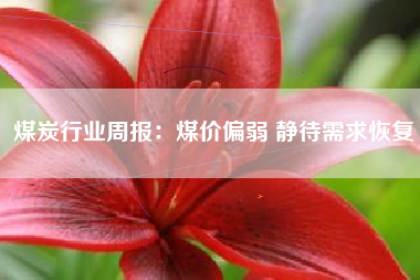 煤炭行业周报：煤价偏弱 静待需求恢复
