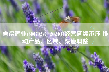 舍得酒业(600702)：2024Q4经营延续承压 推动产品、区域、渠道调整