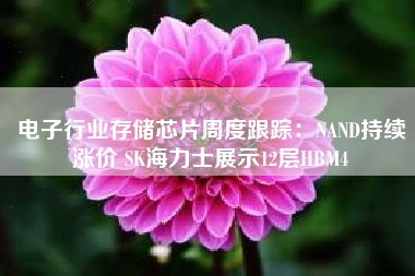 电子行业存储芯片周度跟踪：NAND持续涨价 SK海力士展示12层HBM4
