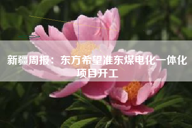 新疆周报：东方希望准东煤电化一体化项目开工